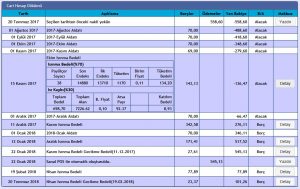 WEB cari hesap ekranı